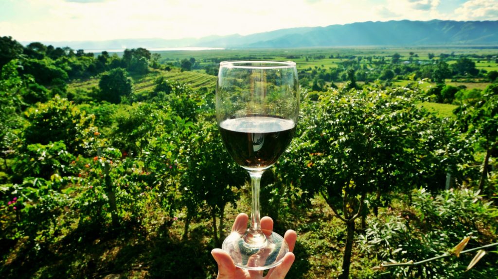 Haut Monde Wine Tours Header